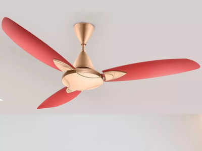 इन Ceiling Fan का बटन दबाते ही गर्मी हो जाएगी छूमंतर, रिमोट कंट्रोल में भी हैं उपलब्ध