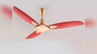 इन Ceiling Fan का बटन दबाते ही गर्मी हो जाएगी छूमंतर, रिमोट कंट्रोल में भी हैं उपलब्ध