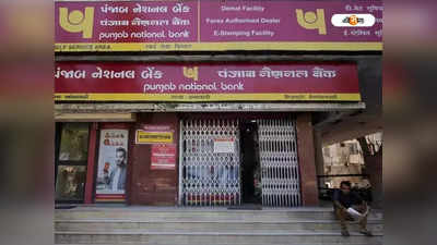 ATM চার্জ থেকে বিপুল আয় PNB-র