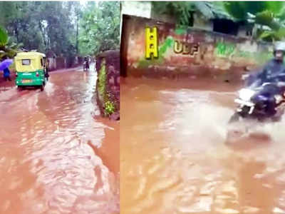 ജലനിധിക്ക് റോഡ് കീറിയതോടെ വൻ കുഴികളും അപകടങ്ങളും; റോഡിൽ വാഴ നട്ട് പ്രതിഷേധം