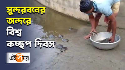 সুন্দরবনের অন্দরে বিশ্ব কচ্ছপ দিবস