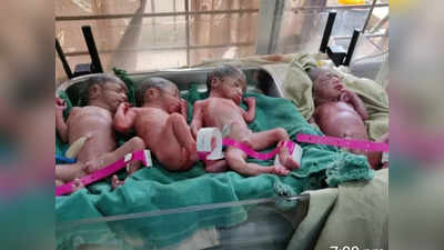MP News: परिवार को मिली चार गुना खुशी, गर्भवती महिला ने एक साथ चार बच्चों को दिया जन्म