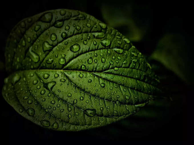 ಕಲಿಯುಗದಲ್ಲಿ ಕಡಿಮೆ ಮಳೆ