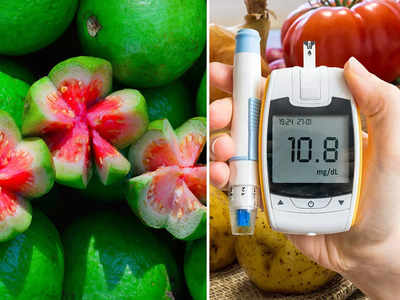 Guavas For Diabetes: বাজারে এখন সহজলভ্য পেয়ারা, সুগার রোগীরা কি রোজ খেতে পারেন?