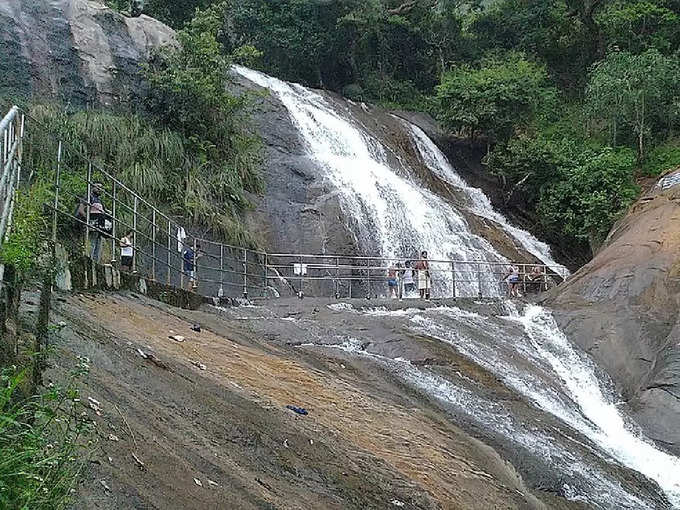 ​ಕೊಲ್ಲಿ ಬೆಟ್ಟದಲ್ಲಿದೆ ಇಷ್ಟೊಂದು ವನ್ಯಜೀವಿಗಳು