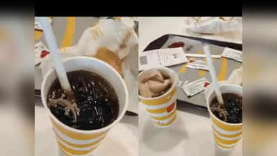 McDonald’s এর খাবারে টিকটিকি! বন্ধ হল আউটলেট