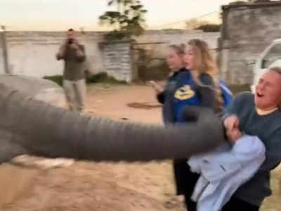 Elephant Viral Video: ಹುಡುಗಿಯ ಮುಖಕ್ಕೆ ಹೊಡೆದು ಮೊಬೈಲ್ ಬೀಳಿಸಿದ ಆನೆ!: ಅಲ್ಲಿದ್ದವರೆಲ್ಲಾ ಶಾಕ್!