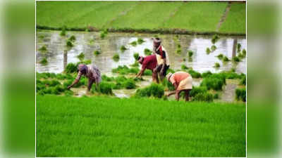 Kisan Samman Nidhi Yojana: चित्रकूट मंडल के 9257 किसान अपात्र चिह्नित, प्रशासन ने थमाया रिकवरी नोटिस