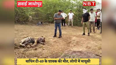 Sawai Madhopur News : वन्यजीव प्रेमियों के लिए बुरी खबर, रणथंभौर में टाइगर की मौत