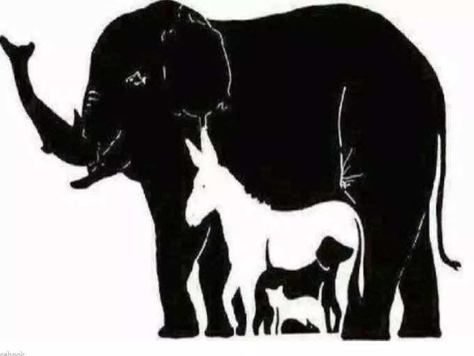 Optical Illusion 16 animals