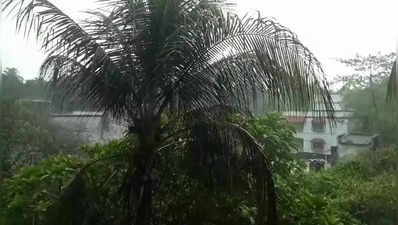 Gujarat Rain: તાપીમાં સવારે ધોધમાર વરસાદ પડ્યો, શું કહે છે હવામાન વિભાગની આગાહી?
