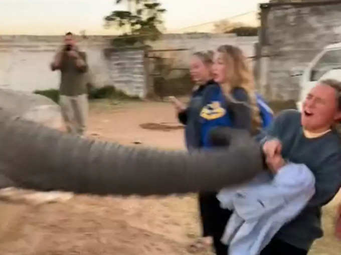 जब लड़की पर कर दिया था हाथी ने अटैक