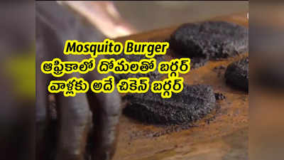 Mosquito Burger: ఆఫ్రికాలో దోమలతో బర్గర్.. వాళ్లకు అదే చికెన్ బర్గర్