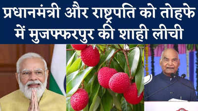 Muzaffarpur Litchi: दिल्ली भेजी जाएगी मुजफ्फरपुर की शाही लीची, राष्ट्रपति और प्रधानमंत्री भी चखेंगे स्वाद, Watch Video