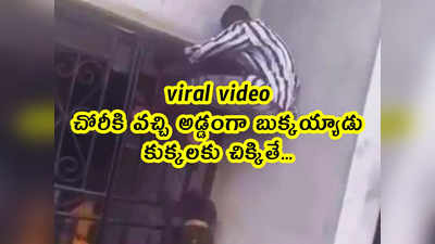 viral video: చోరీకి వచ్చి అడ్డంగా బుక్కయ్యాడు.. కుక్కలకు చిక్కితే... 