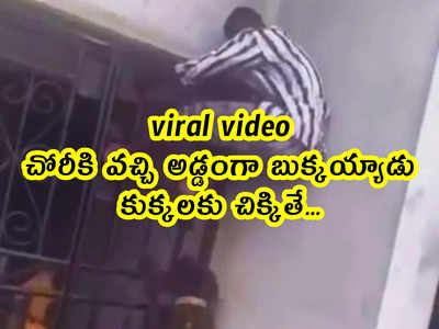 viral video: చోరీకి వచ్చి అడ్డంగా బుక్కయ్యాడు.. కుక్కలకు చిక్కితే...