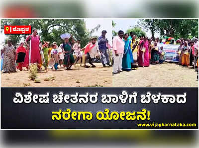 ಹಿಡಿ ಉತ್ಸಾಹಕ್ಕೆ ಅಡ್ಡಿಯಾದ ಅಂಗ ವೈಕಲ್ಯ: ಕೊಪ್ಪಳದಲ್ಲಿ ವಿಶೇಷ ಚೇತನರಿಗೆ ಇದ್ದಲ್ಲೇ ಕೆಲಸ- ಕಷ್ಟ ಜೀವಿಗಳಿಗೆ ನೆರವಾದ ನರೇಗಾ