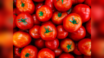 Tomato Price Hike Today: सर्वसामान्यांना आता टोमॅटोचा झटका, नवे दर वाचून हादराल...