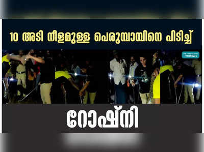 10 അടി നീളമുള്ള പെരുമ്പാമ്പിനെ പിടിച്ച് റോഷ്‌നി