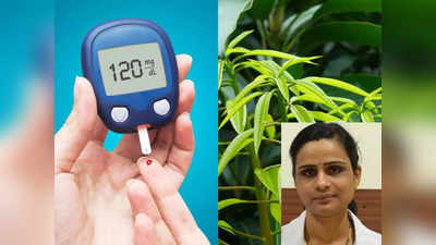 diabetes control foods : இரத்த சர்க்கரையை கட்டுப்படுத்தும் மாவிலை பொடி...   எப்படி எடுக்கணும்.... வேற என்னலாம் சாப்பிடலாம்...