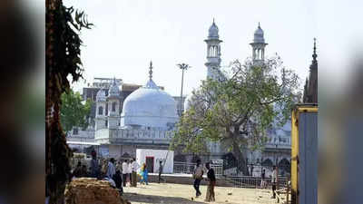 Gyanvapi Mosque:জ্ঞানব্যাপী মামলায় ফাস্ট ট্র্যাক আদালতে নয়া আবেদনের শুনানি সোমবার