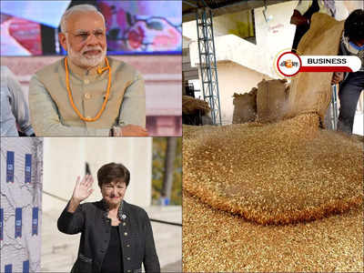 Wheat Export Ban: মোদীর গম রফতানি বন্ধের সিদ্ধান্তে সমস্যায় ইউরোপ, কাতর আর্জি IMF প্রধানের!