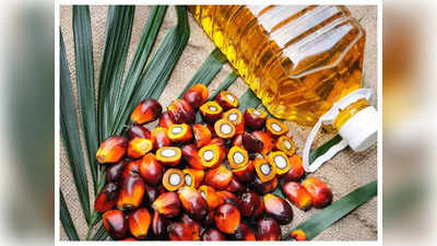 Palm Oil: सस्ते होने वाले हैं खाने के तेल, महंगाई की मार के बीच इंडोनेशिया से आई बड़ी खुशखबरी