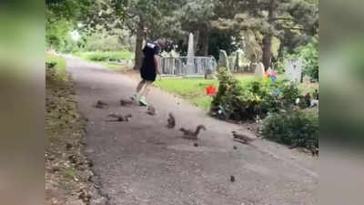 Jogging With Squirrels: ಜಾಗಿಂಗ್ ವೇಳೆ ವ್ಯಕ್ತಿಯ ಹಿಂದೆಯೇ ಓಡುವ ಅಳಿಲುಗಳು!: ಮುದ್ದಾಗಿದೆ ಈ ದೃಶ್ಯ