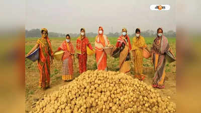 Women Employment: মহিলাদের কর্মসংস্থানে শীর্ষে বাংলা