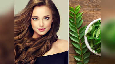 Curry Leaves For Hair Growth: চুলের হাল ফেরাতে পারে কারিপাতা, কোন সমস্যায় কী ভাবে ব্যবহার করবেন?