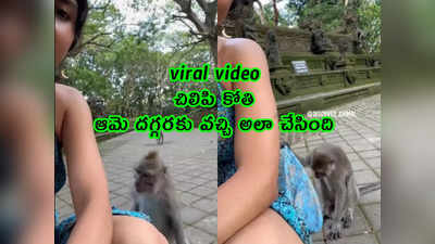 viral video: చిలిపి కోతి.. ఆమె దగ్గరకు వచ్చి అలా చేసింది