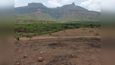 अंबरनाथमध्ये धरणाच्या भूसंपादनात घोटाळा, खोटे लाभार्थी दाखवून कोट्यवधी लाटले, ३० जणांना बेड्या