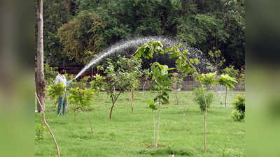 दिल्ली-एनसीआर में ग्रीन कवर बढ़ाने के लिए इस बार लगेंगे अधिक पौधे: सीएक्यूएम