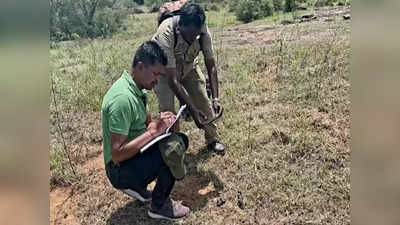 ஆனைமலை புலிகள் காப்பகம்: வனச்சரகங்களில் கணக்கெடுக்கும் பணி தொடங்கியது!