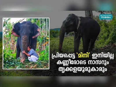 മിനി ഇനിയില്ല; കണ്ണീരോടെ നാസറും തൃക്കളയൂരുകാരും