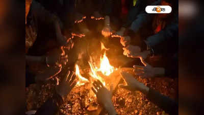 জঙ্গলে নিষিদ্ধ Camp Fire, DJ বক্স