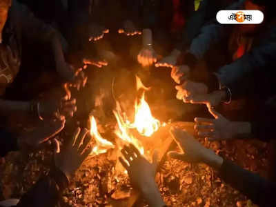 জঙ্গলে নিষিদ্ধ Camp Fire, DJ বক্স