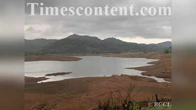 राज्यातील धरणांमध्ये ३७ टक्के जलसाठा, मंत्रिमंडळ बैठकीत माहिती