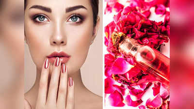 Rose Water For Skin: অয়েলি হোক বা ড্রাই, গ্যাপসা গরমে সুন্দর-সতেজ থাকতে ত্বককে দিন গোলাপের আভা!