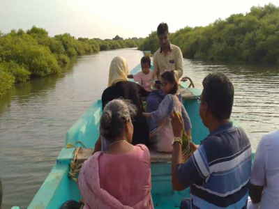 மனதை மயக்கும் காரங்காடு மாங்குரோவ் காடுகள்: அடிப்படை வசதிகளை மேம்படுத்த பொதுமக்கள் கோரிக்கை!