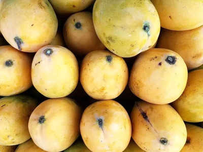 Mango side effects: गर्मी में आम खाने के बाद भूलकर भी न खाएं ये 5 चीजें, पड़ जाएंगे लेने के देने