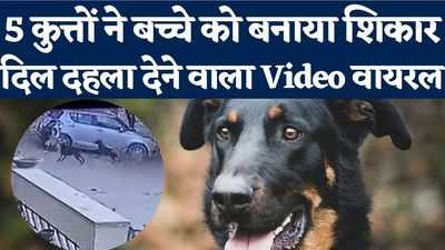 जयपुर में 5 कुत्तों ने 9 साल के बच्चे पर किया हमला, दिल दहला देने वाला Video वायरल