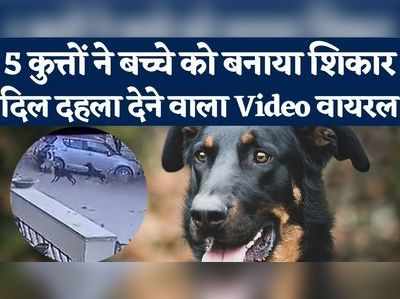 जयपुर में 5 कुत्तों ने 9 साल के बच्चे पर किया हमला, दिल दहला देने वाला Video वायरल