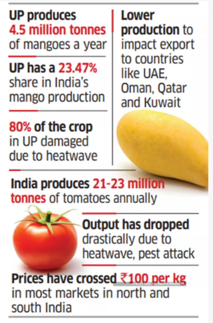 tomato and mango price