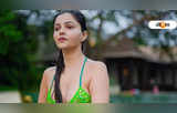 Hindi Serial Actresses: মাসের পর মাস বেকার ছিলেন Shweta Tiwari থেকে Rubina Dilaik! কিন্তু কেন?
