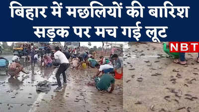 Gaya News : बिहार में सड़क पर अचानक हो गई मछलियों की बारिश, देखिए लोगों ने कैसे मचा दी लूट