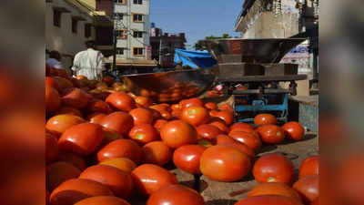 Tomato Price: ফের টমেটোর দাম ছাড়াল ₹100/কেজি, মাথায় হাত সাধারণ মানুষের!