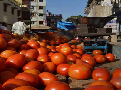 Tomato Price: ফের টমেটোর দাম ছাড়াল ₹100/কেজি, মাথায় হাত সাধারণ মানুষের!