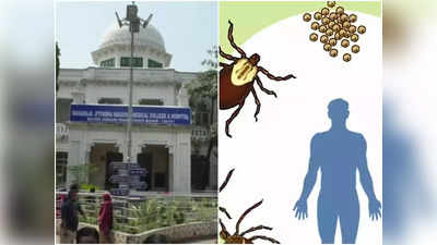 Cooch Behar News: কোচবিহারে বাড়ছে Scrub Typhus-এ আক্রান্তের সংখ্যা, উদ্বেগ