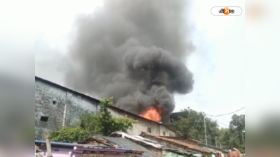 Fire Incident: সালকিয়ার কারখানায় ভয়াবহ অগ্নিকাণ্ড, দমকলের তৎপরতায় নিয়ন্ত্রণে